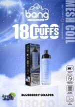 Bang Disposable 18000 Puffs - Image 4