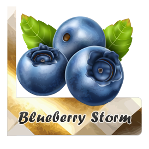 blueberry Storm