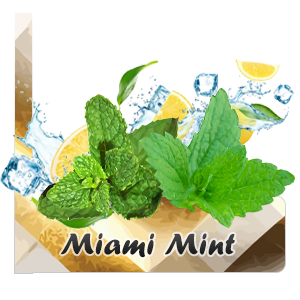 Miami Mint