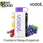 Vozol Star 12000 Puff - Image 16