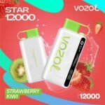 Vozol Star 12000 Puff - Image 13