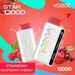 Vozol Star 12000 Puff - Image 10