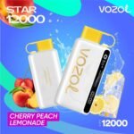 Vozol Star 12000 Puff - Image 12