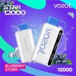 Vozol Star 12000 Puff - Image 6