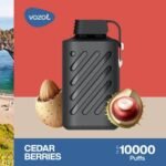 Vozol Gear 10000 Puff - Image 16
