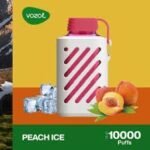 Vozol Gear 10000 Puff - Image 19